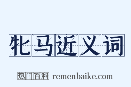 牝马近义词是什么意思的图片